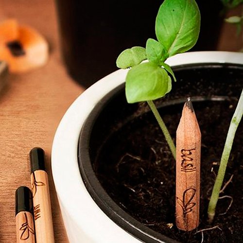 Lápis Semente Personalizado - Imagem 3